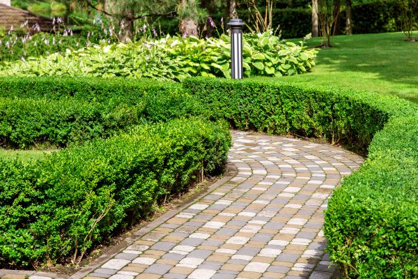 Paved Landscaping in Melbourne