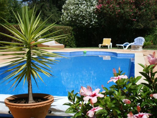 Pool Terrace Renovation in Melbourne