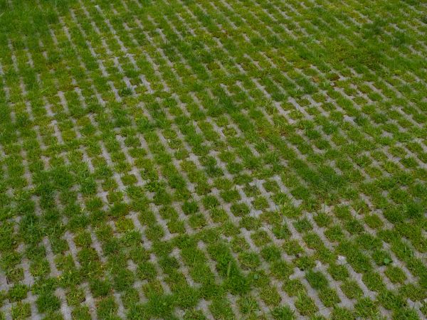 Permeable Pavement Service in Melbourne