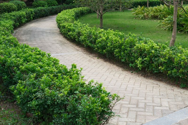 Walkway with Natural Stone Pavers